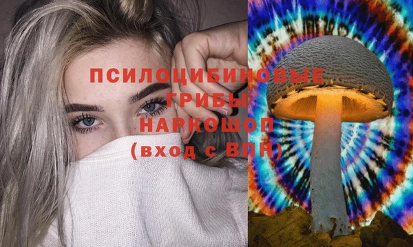 мескалин Арсеньев