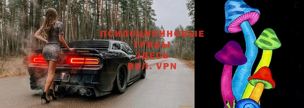 гашик Аркадак