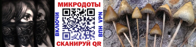 Псилоцибиновые грибы мухоморы Спас-Деменск