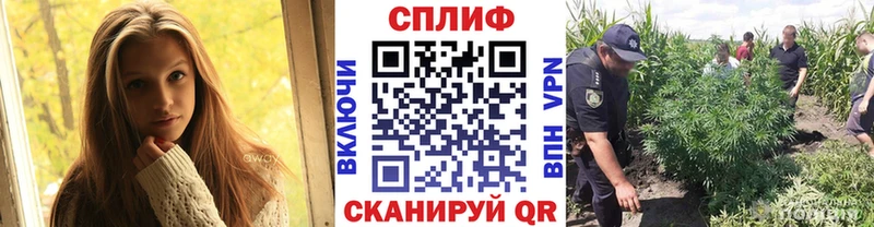 МАРИХУАНА ГИДРОПОН  Спас-Деменск 